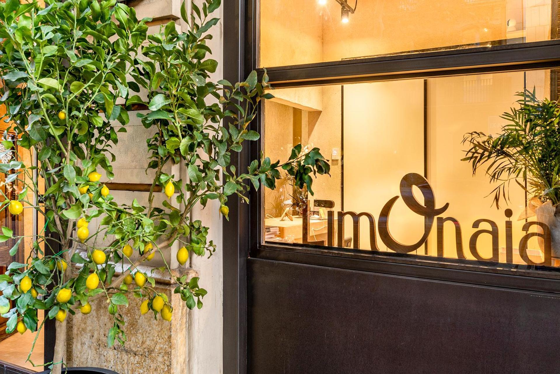 Limonaia Hotell Barcelona Eksteriør bilde